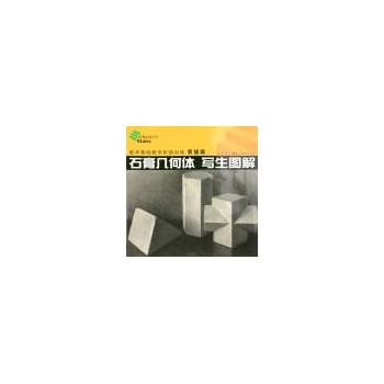 阶梯训练—素描头像写生图解 