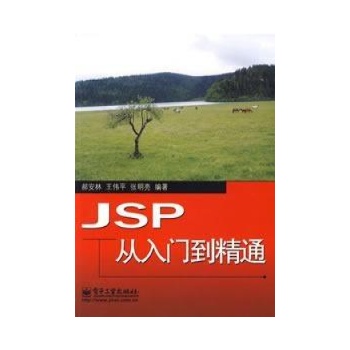 jsp从入门到精通_jsp网络编程从入门到精通_jsp从入门到精通高清版