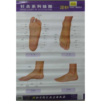 10元针灸系列挂图——足针 