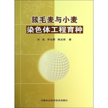 簇毛麦与小麦染色体工程育种