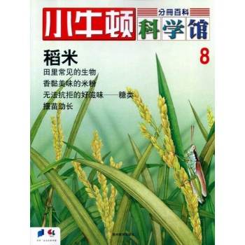 小牛顿科学馆--稻米
