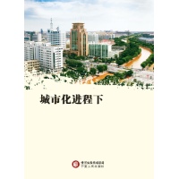 城市化进程下宁夏教育改革和发展战略研究