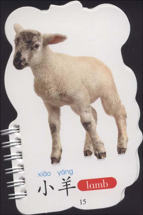 宝宝趣味识图动物篇_画画大全